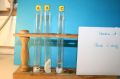 gal/LES_CINQUIEMES/ACTIVITE DIGESTION IN VITRO/Groupe_02/Groupe02_T_00h00min/_thb_Groupe02_temps__H__min_2.jpg